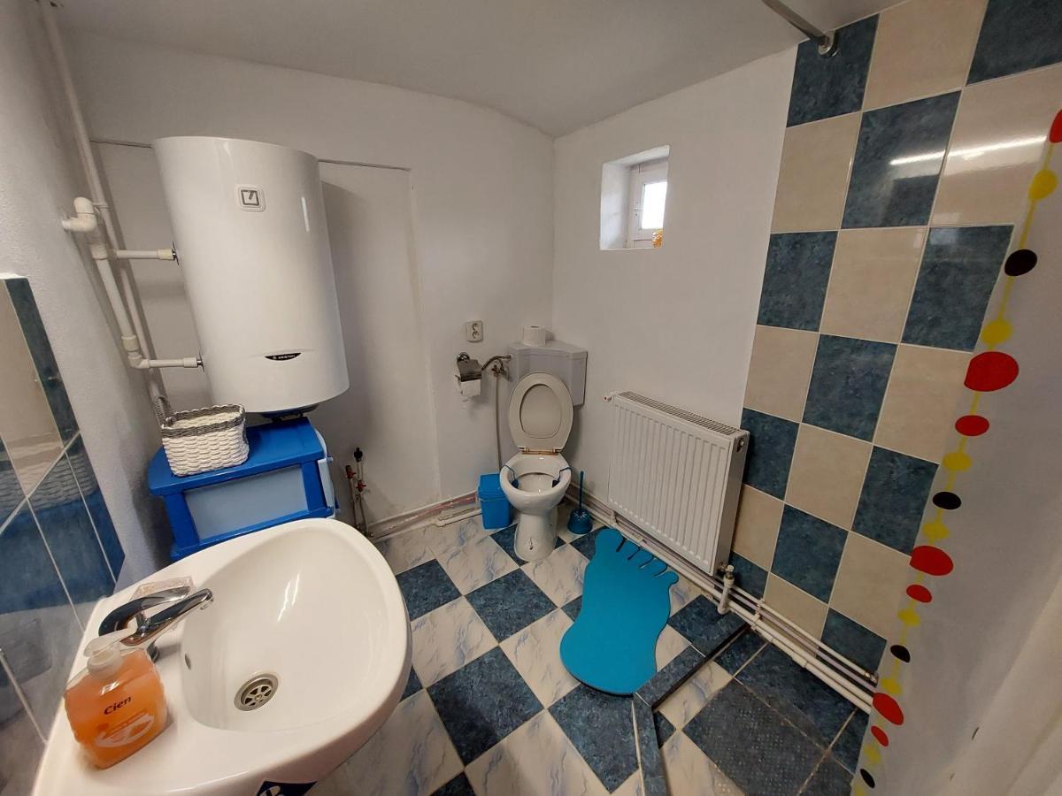 Cabana Casa Lu'Baciu Arpaşu de Sus Екстериор снимка