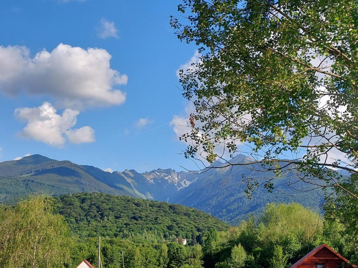 Cabana Casa Lu'Baciu Arpaşu de Sus Екстериор снимка