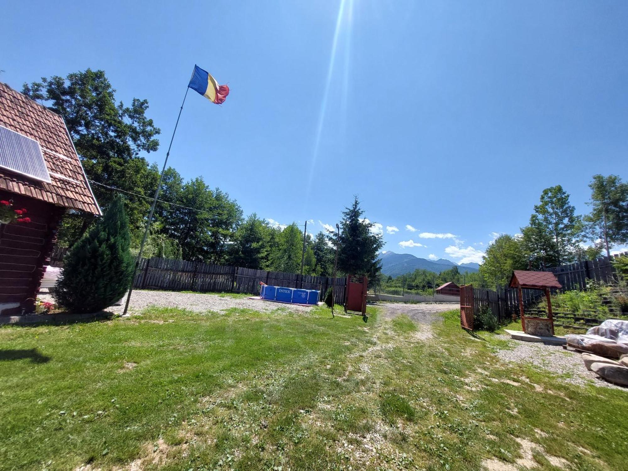 Cabana Casa Lu'Baciu Arpaşu de Sus Екстериор снимка